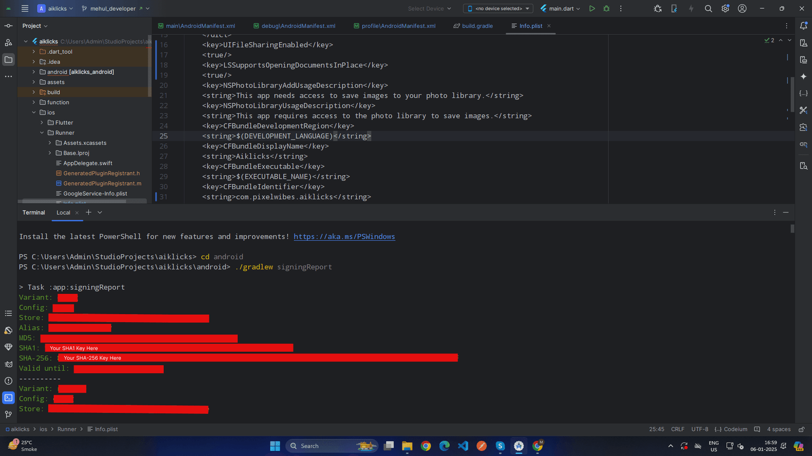 API Key pic